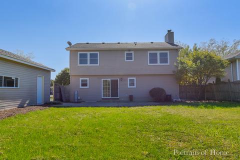 6505 Bazz Dr, Plainfield, IL 60586 photo 16