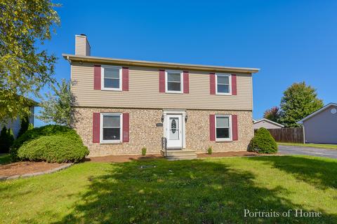 6505 Bazz Dr, Plainfield, IL 60586 photo 1