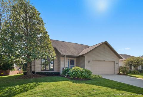 724 Butternut Ln, Elgin, IL 60123 photo 1