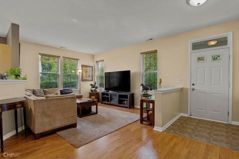 2882 Falling Waters Ln, Lindenhurst, IL 60046 photo 3