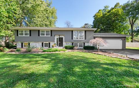 10210 Wilmette Ave, Algonquin, IL 60102 photo 1