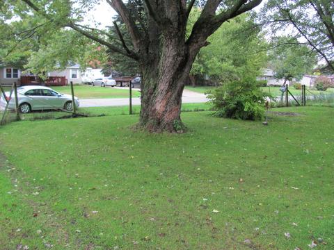 5325 Aux Sable Rd, Morris, IL 60450 photo 18