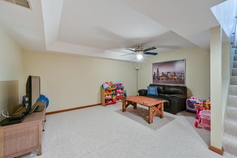 13151 Vicky St, Plainfield, IL 60585 photo 27