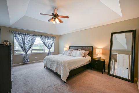 13151 Vicky St, Plainfield, IL 60585 photo 19