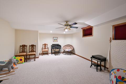 13151 Vicky St, Plainfield, IL 60585 photo 29