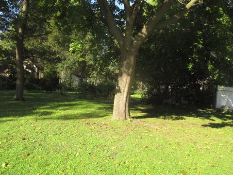 932 Augusta Ave, Elgin, IL 60120 photo 24