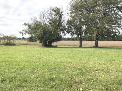 1411 Indian Trl, Kankakee, IL 60901 photo 24