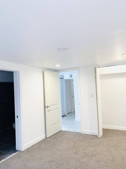 228 E 87th St, Chicago, IL 60619 photo 15