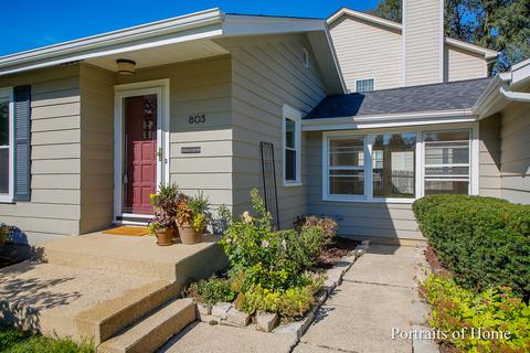 803 E Harrison Ave, Wheaton, IL 60187 photo 2
