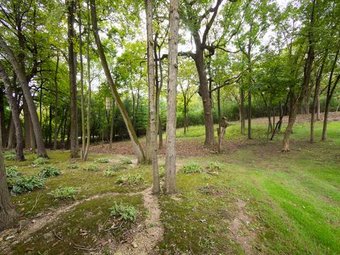 5 Eagle Pointe Dr, Barrington, IL 60010 photo 52