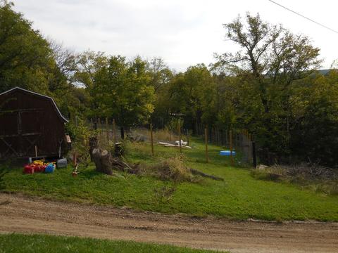 379 W Jackson St, Seneca, IL 61360 photo 21