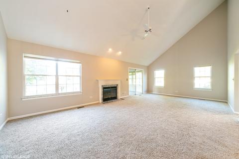13458 Redberry Cir, Plainfield, IL 60544 photo 2