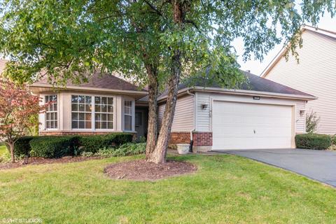 13458 Redberry Cir, Plainfield, IL 60544 photo 1