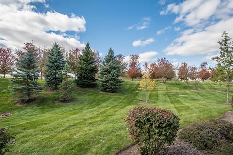 12736 Wild Rye Ct, Plainfield, IL 60585 photo 26