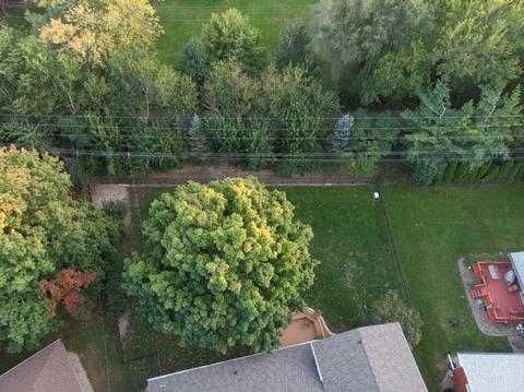 1315 Joan Way, Normal, IL 61761 photo 39