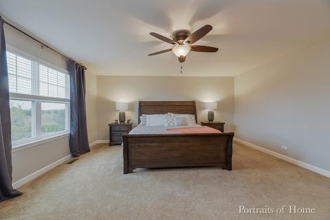 24616 W Harvester Dr, Plainfield, IL 60544 photo 13