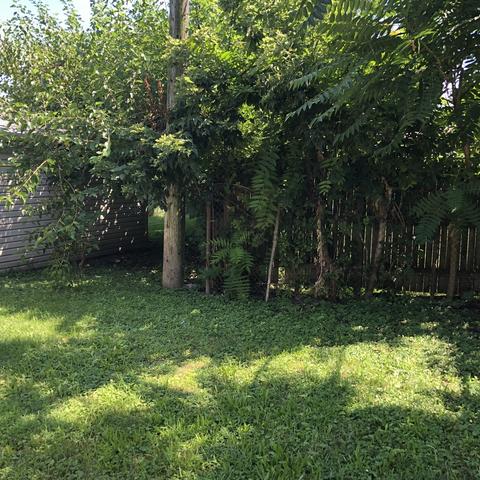 625 E 155th St, Phoenix, IL 60426 photo 12