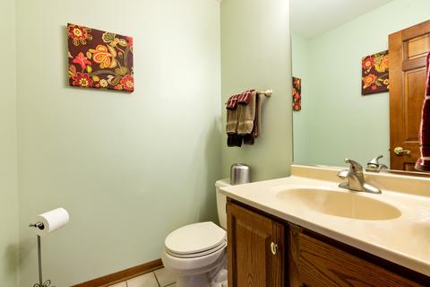 521 Terrace Dr, Algonquin, IL 60102 photo 22