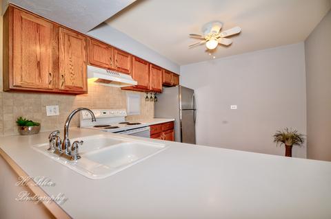 4710 Euclid Ave #1D, Rolling Meadows, IL 60008 photo 10