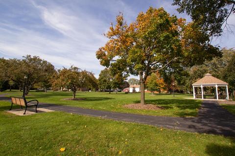 127 N Wolf Rd #51A, Wheeling, IL 60090 photo 24