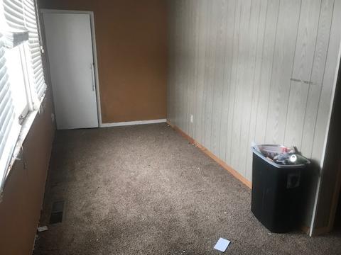 124 E Main St, Braidwood, IL 60408 photo 7