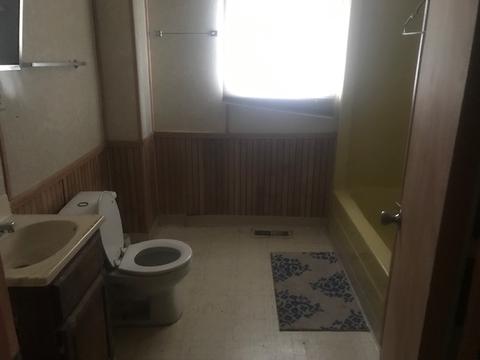 124 E Main St, Braidwood, IL 60408 photo 5