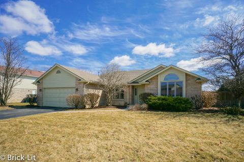 10513 Oconnell Ave, Mokena, IL 60448 photo 1