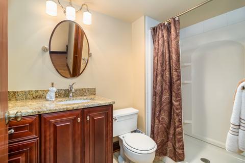 419 N Wheaton Ave, Wheaton, IL 60187 photo 32