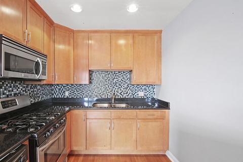 208 E 44th St #3, Chicago, IL 60653 photo 8