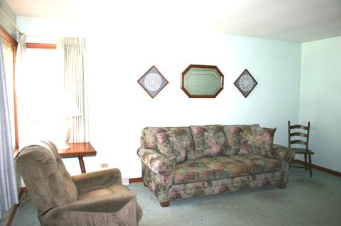 3033 Wallace Ave, Steger, IL 60475 photo 4
