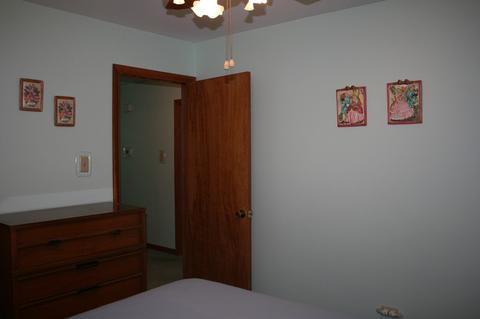 3033 Wallace Ave, Steger, IL 60475 photo 20