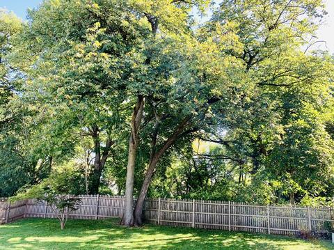 645 Old Oak Cir, Algonquin, IL 60102 photo 39