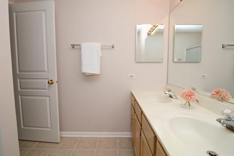 1342 Summersweet Ln, Bartlett, IL 60103 photo 15