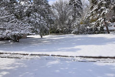 33 Jayne St, Algonquin, IL 60102 photo 8
