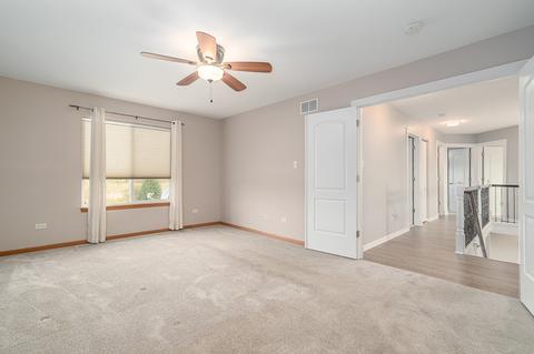 1711 Stanton Ln, Plainfield, IL 60586 photo 23