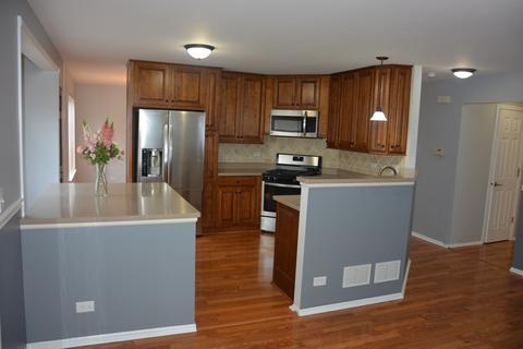 459 Harvard Ln, Bartlett, IL 60103 photo 2