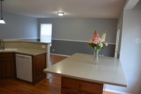 459 Harvard Ln, Bartlett, IL 60103 photo 5