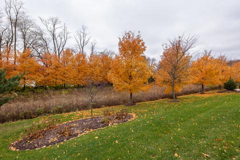67 Landon Cir, Wheaton, IL 60189 photo 33