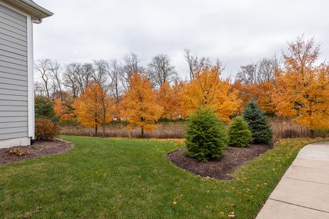 67 Landon Cir, Wheaton, IL 60189 photo 34