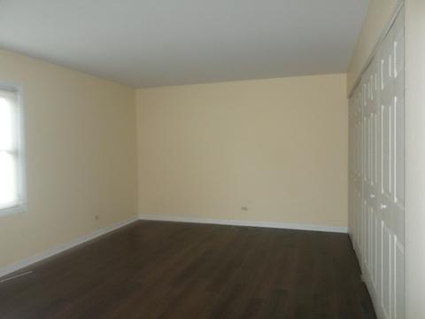140 E Mcclellan Ct, Bartlett, IL 60103 photo 9
