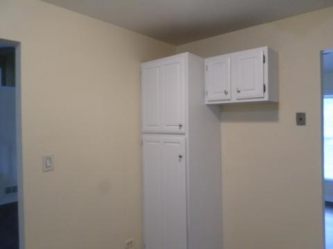 140 E Mcclellan Ct, Bartlett, IL 60103 photo 4