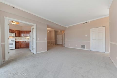 3100 Town Square Dr #406, Rolling Meadows, IL 60008 photo 4