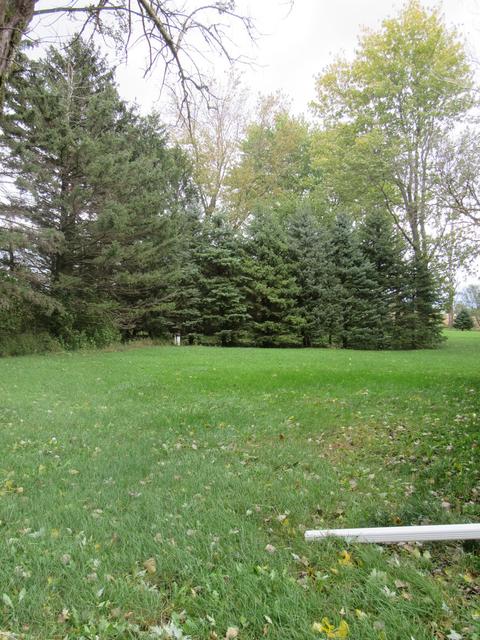 1055 E 2300 North Rd, Danforth, IL 60930 photo 29
