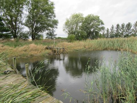 1055 E 2300 North Rd, Danforth, IL 60930 photo 3