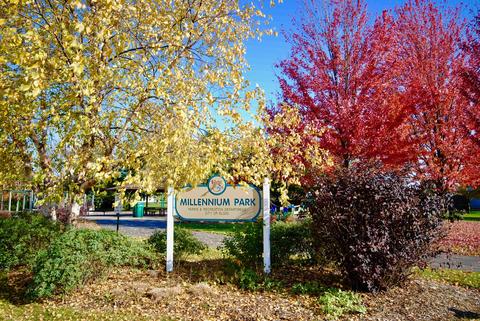 760 Red Barn Ln, Elgin, IL 60123 photo 34