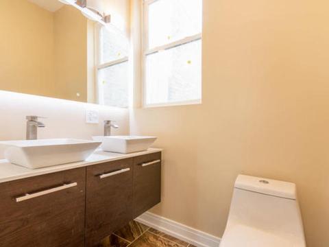 308 S Spaulding Ave, Chicago, IL 60624 photo 16