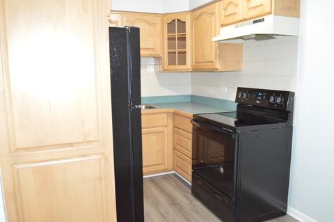 3325 Kirchoff Rd #3I, Rolling Meadows, IL 60008 photo 4