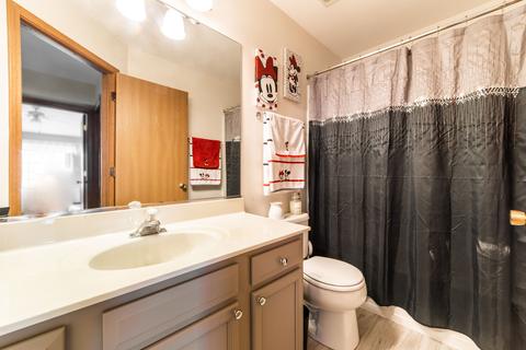 1569 Spaulding Rd, Bartlett, IL 60103 photo 19