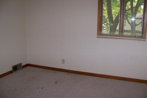 501 N Beech St, Forrest, IL 61741 photo 15