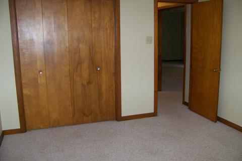501 N Beech St, Forrest, IL 61741 photo 14